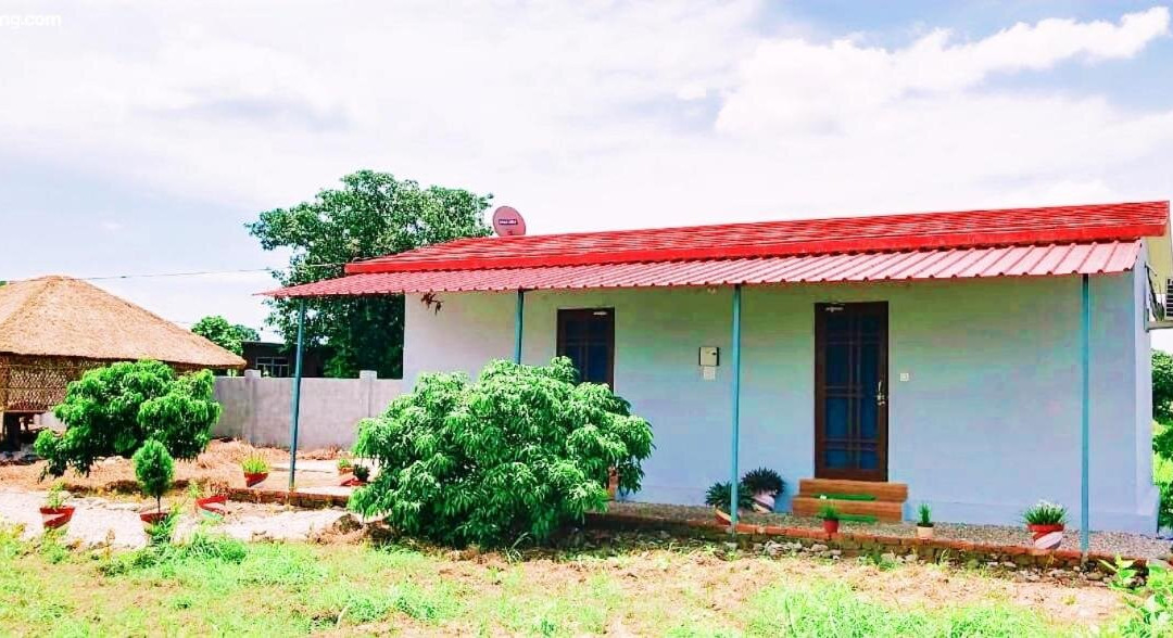 The comfort inn - Corbett Homestay主图