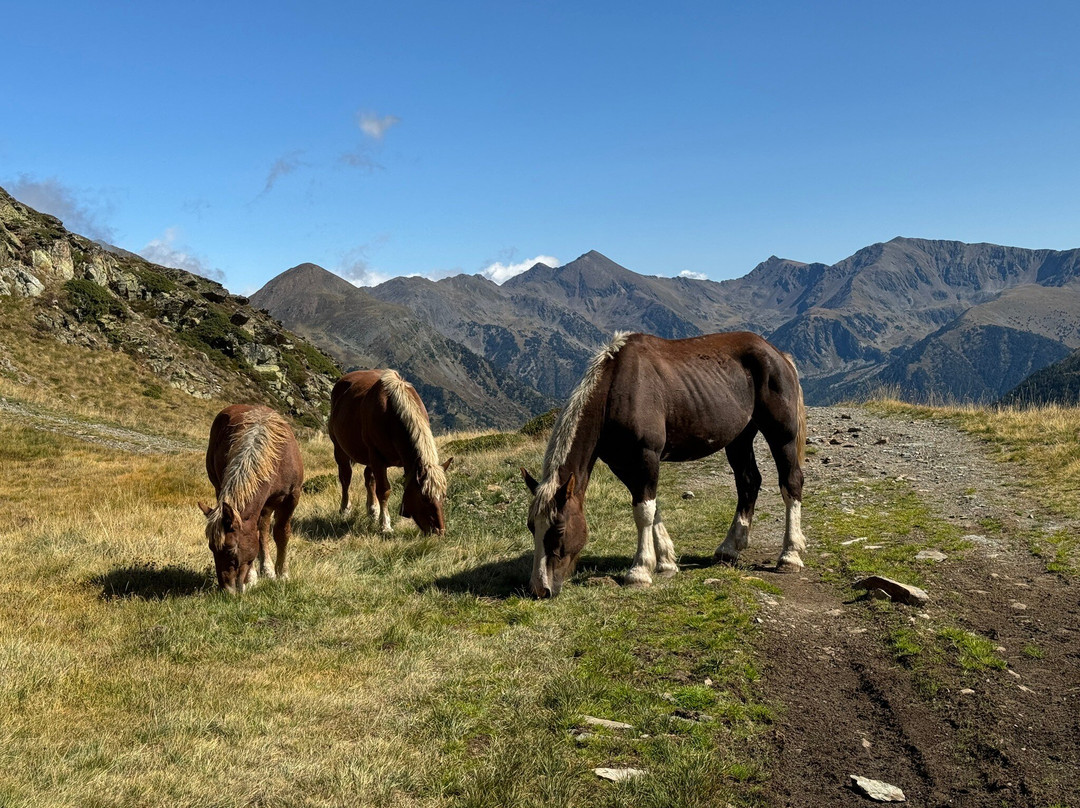 Ruta Verdaguer - Estany de Creussans-阿林萨尔必去景点