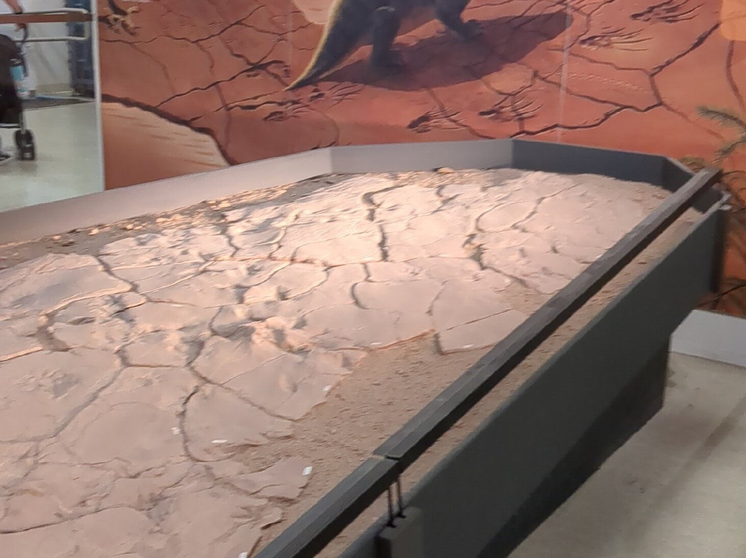 Museum of Nature & Science-拉斯克鲁塞斯必去景点