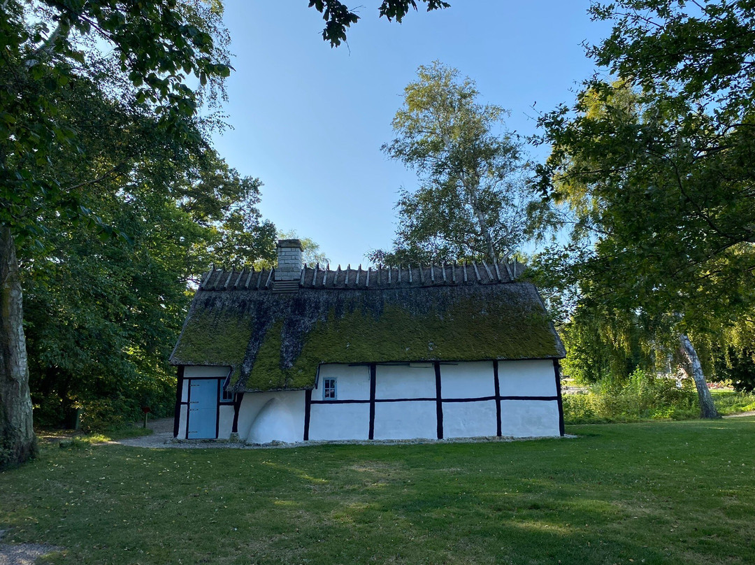 Stevns Klint Experience景点图片