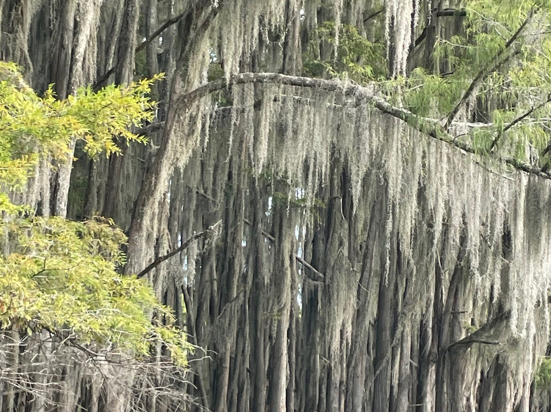 Billy Carter's Go-Devil Tours-Uncertain必去景点