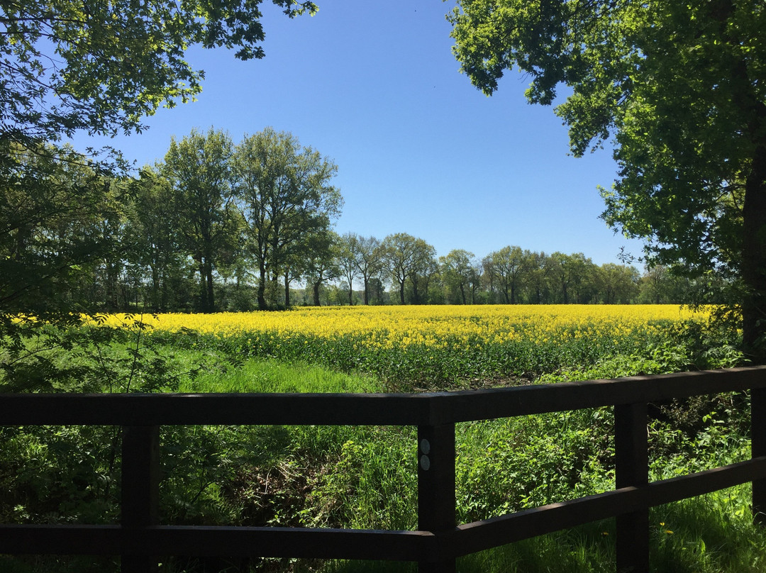 Ostfriesland Wanderweg-Hesel必去景点