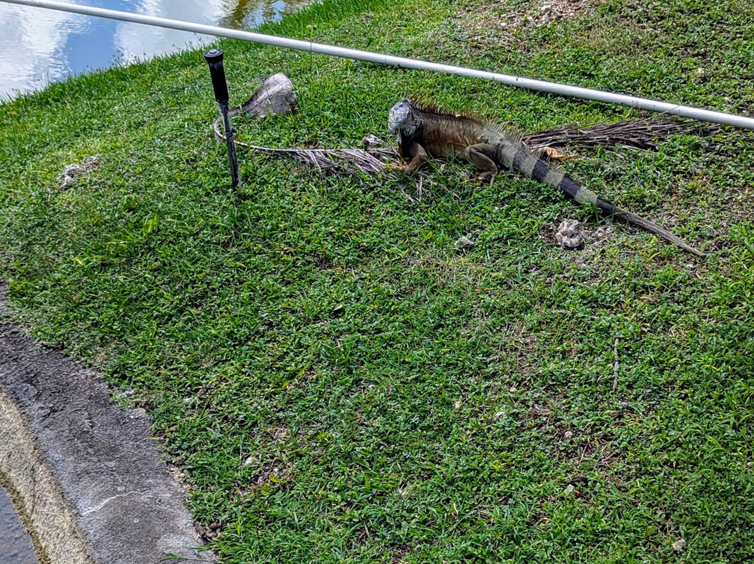 Fruit & Spice Park-霍姆斯特德必去景点