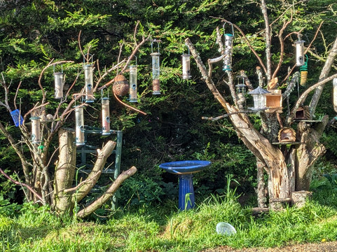 Crannach House主图