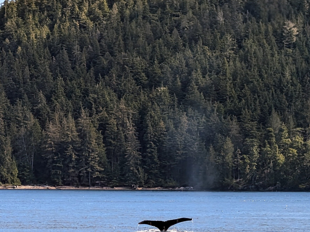 Telegraph Cove Marina & RV Park景点图片