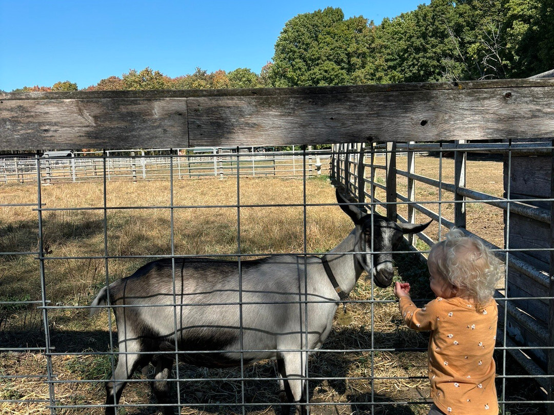 The Farm-斯特金贝必去景点