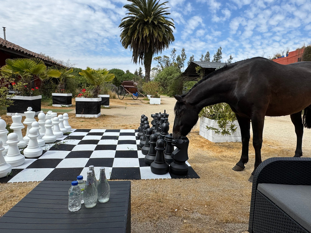 Casona Lo Aguirre主图