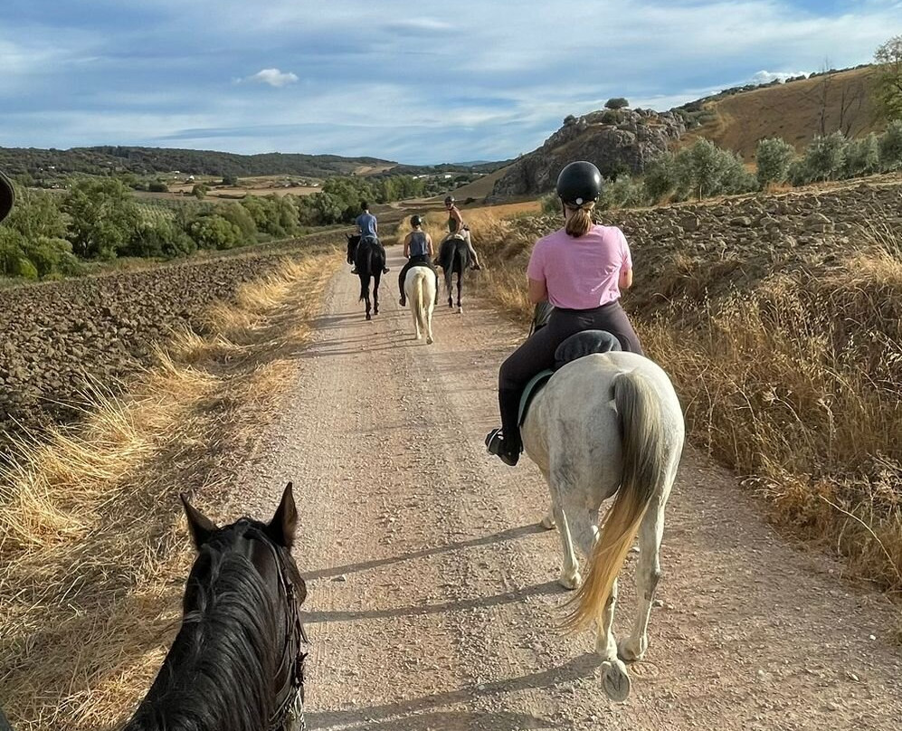 Caballos y Vino景点图片