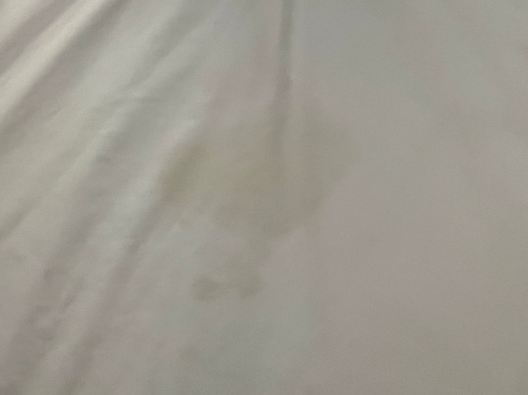 Super 8 by Wyndham Defuniak Springs主图