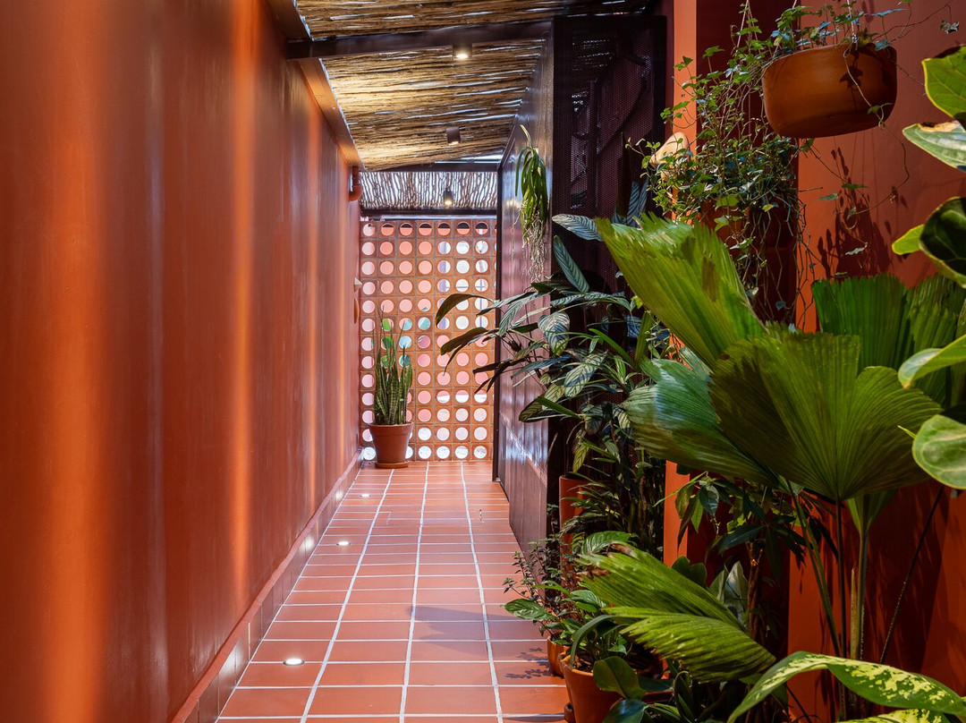 LIV - Centro Especializado em Massoterapia-圣保罗必去景点