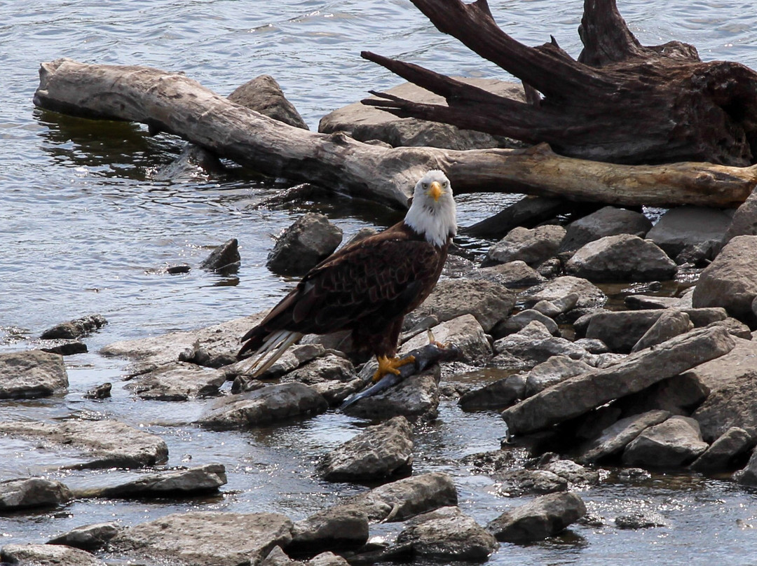 Meet Ottumwa-Ottumwa必去景点