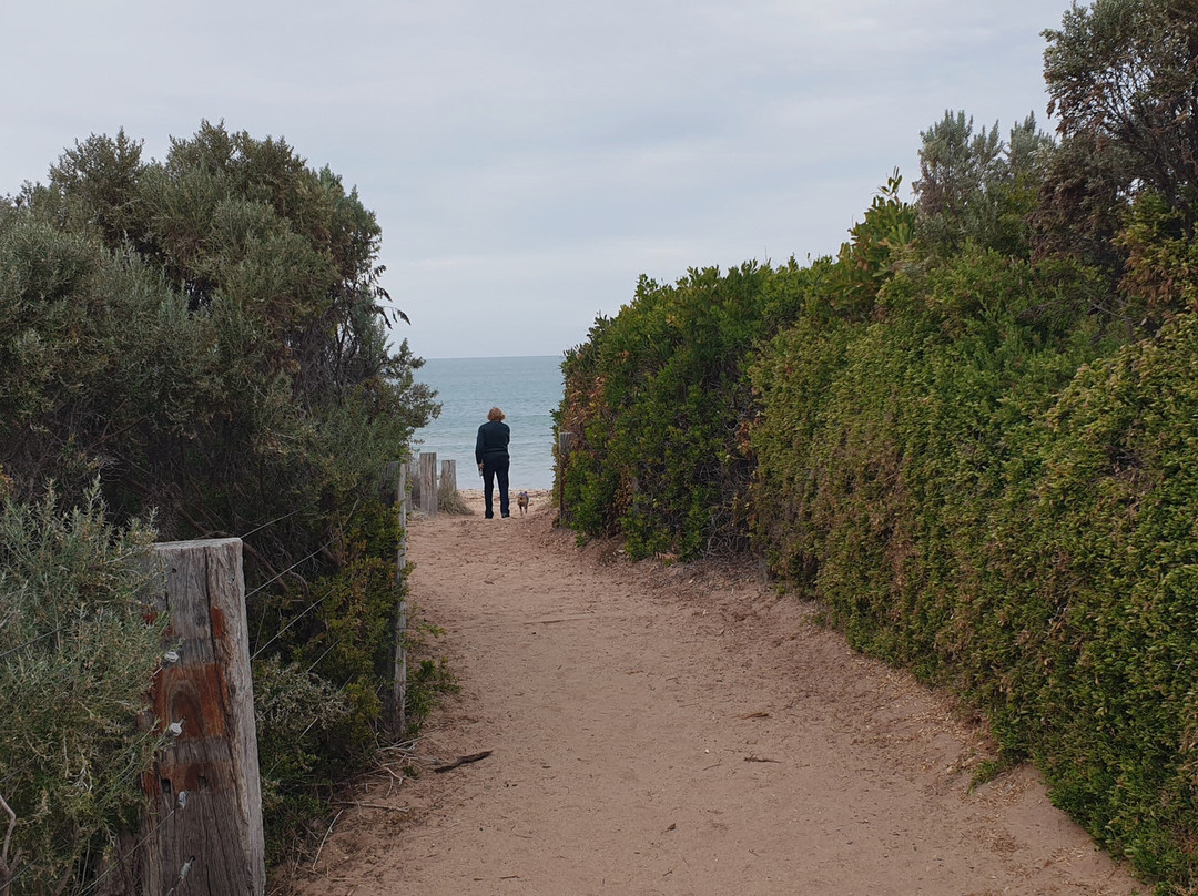 Basham Beach Conservation Park