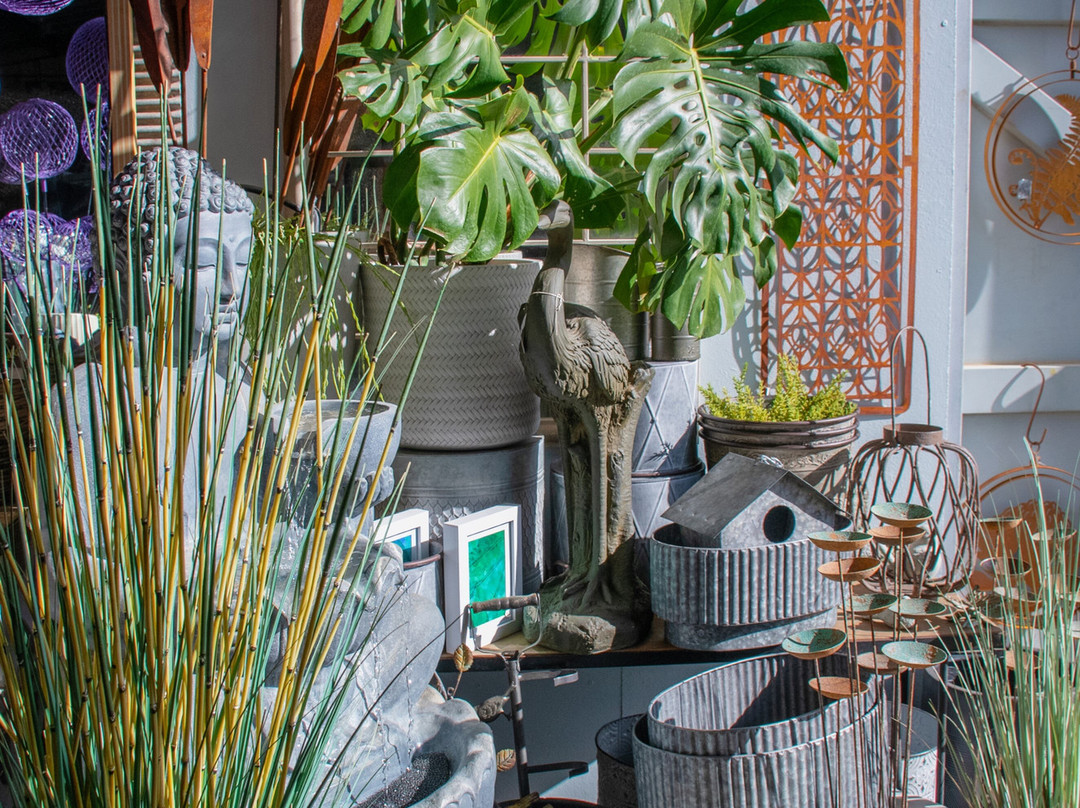 Designer Dirt-奥尔巴尼必去景点