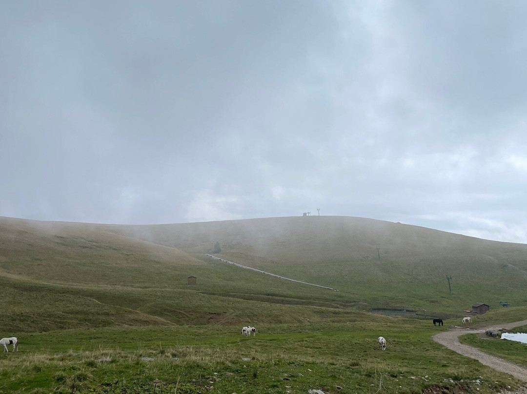 Piani Dell'avaro , Cusio-Cusio必去景点