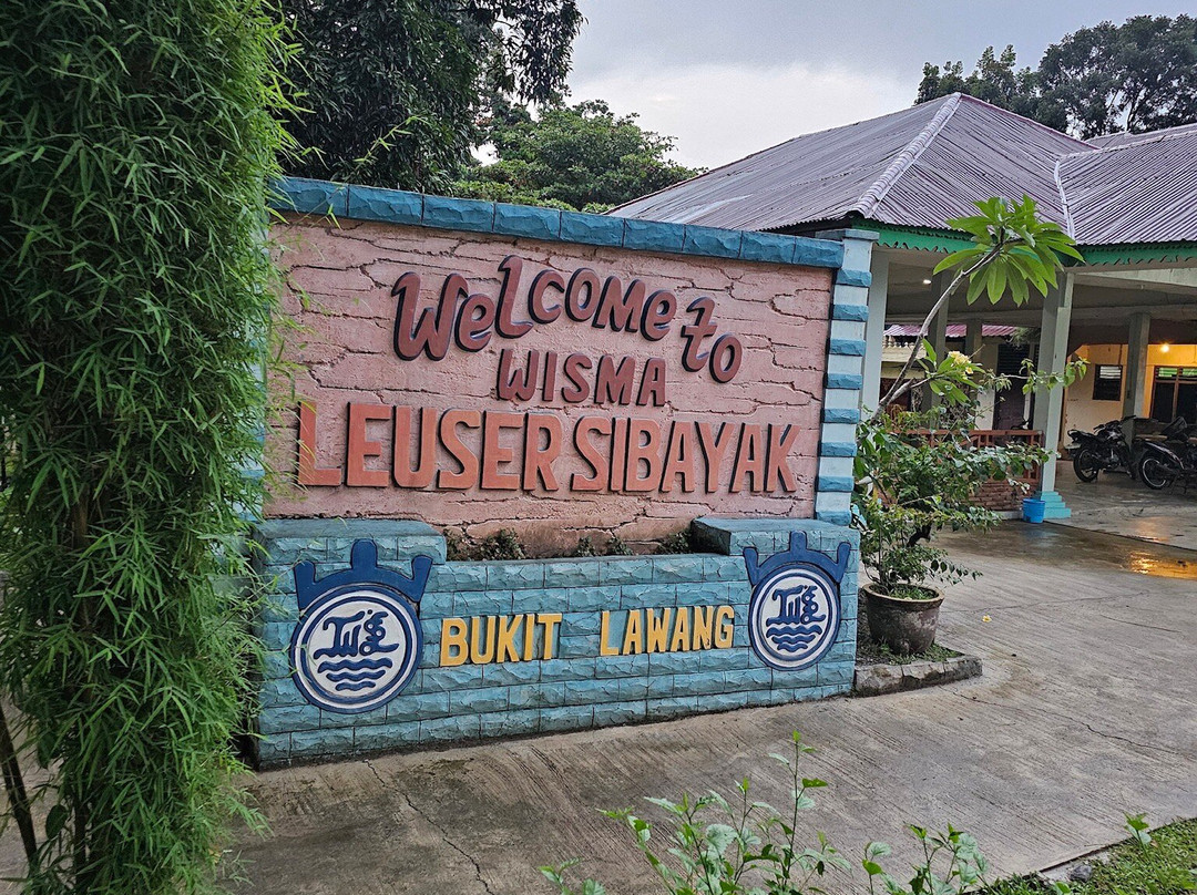 Wisma Leuser Sibayak主图
