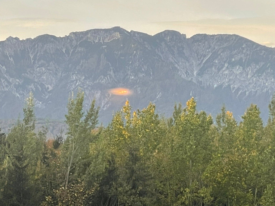 Best Western Hotel Am Walserberg主图