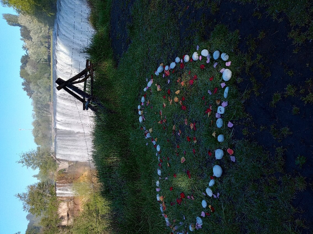 Hotel Salto del Laja主图