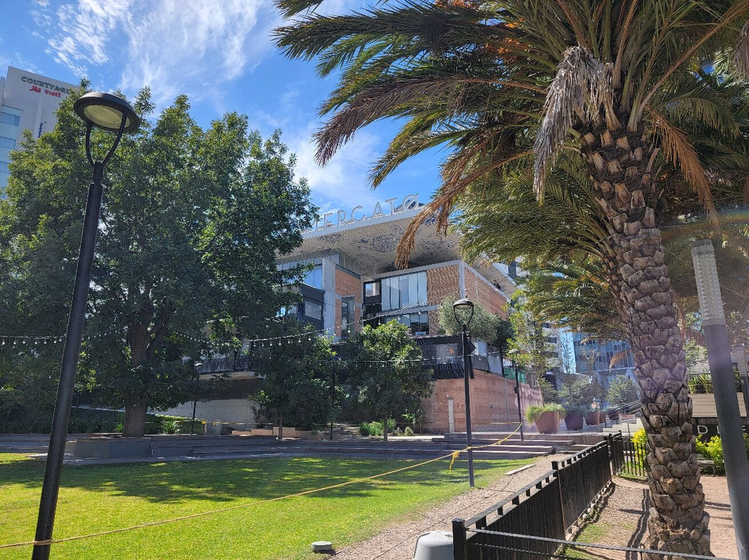 Parque Centro-萨尔蒂必去景点