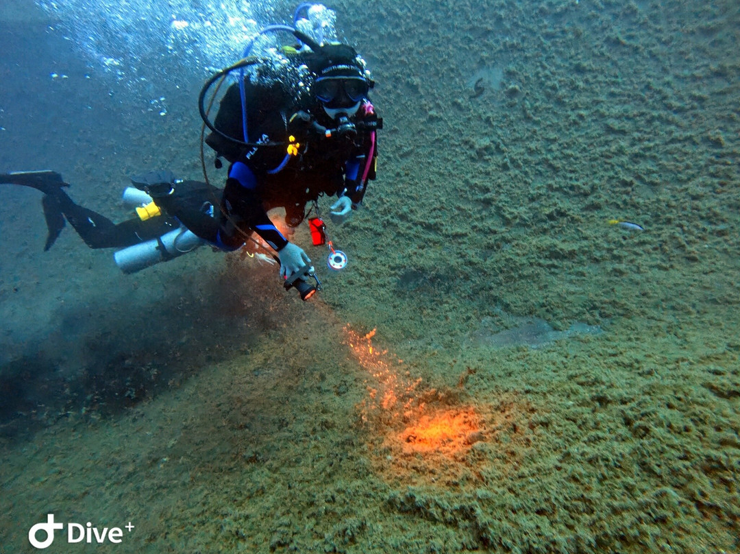 Viking Divers-拉纳加必去景点