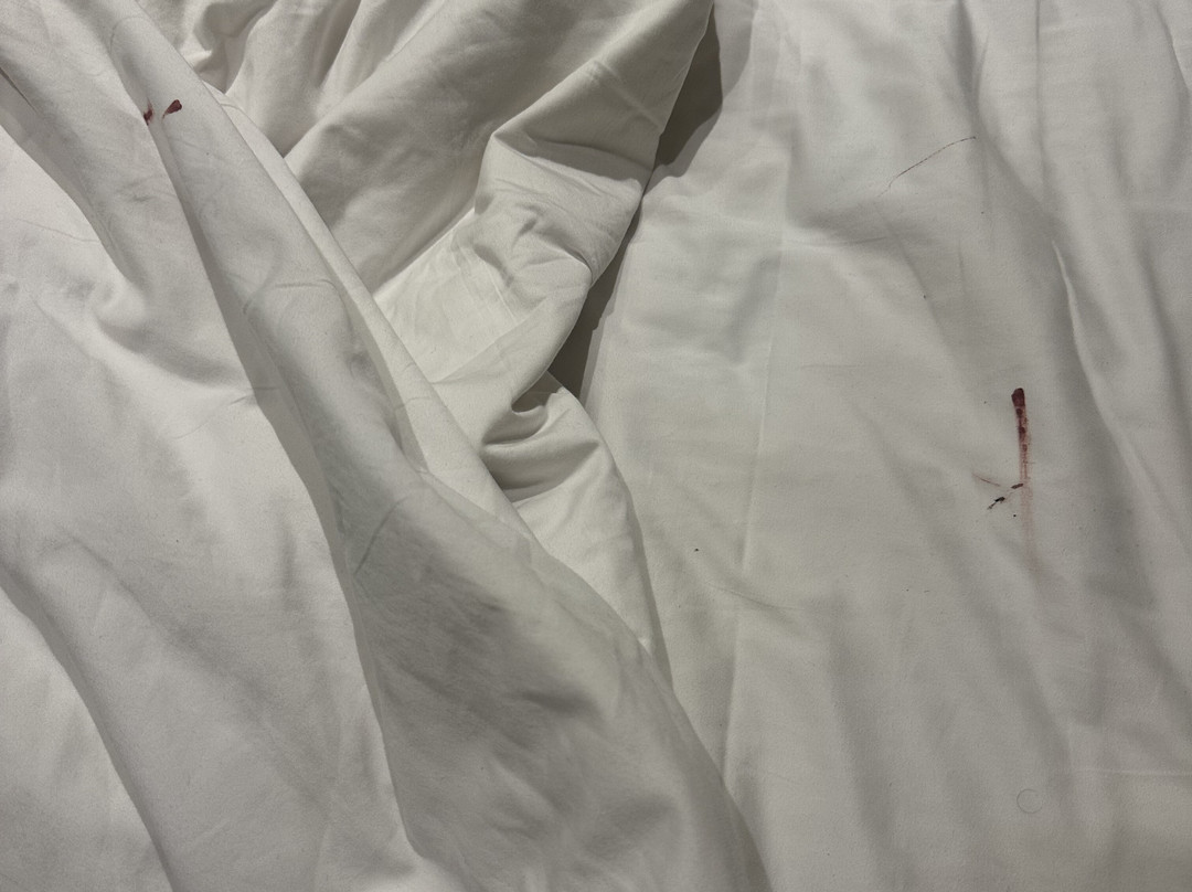 萨法瑞酒店主图