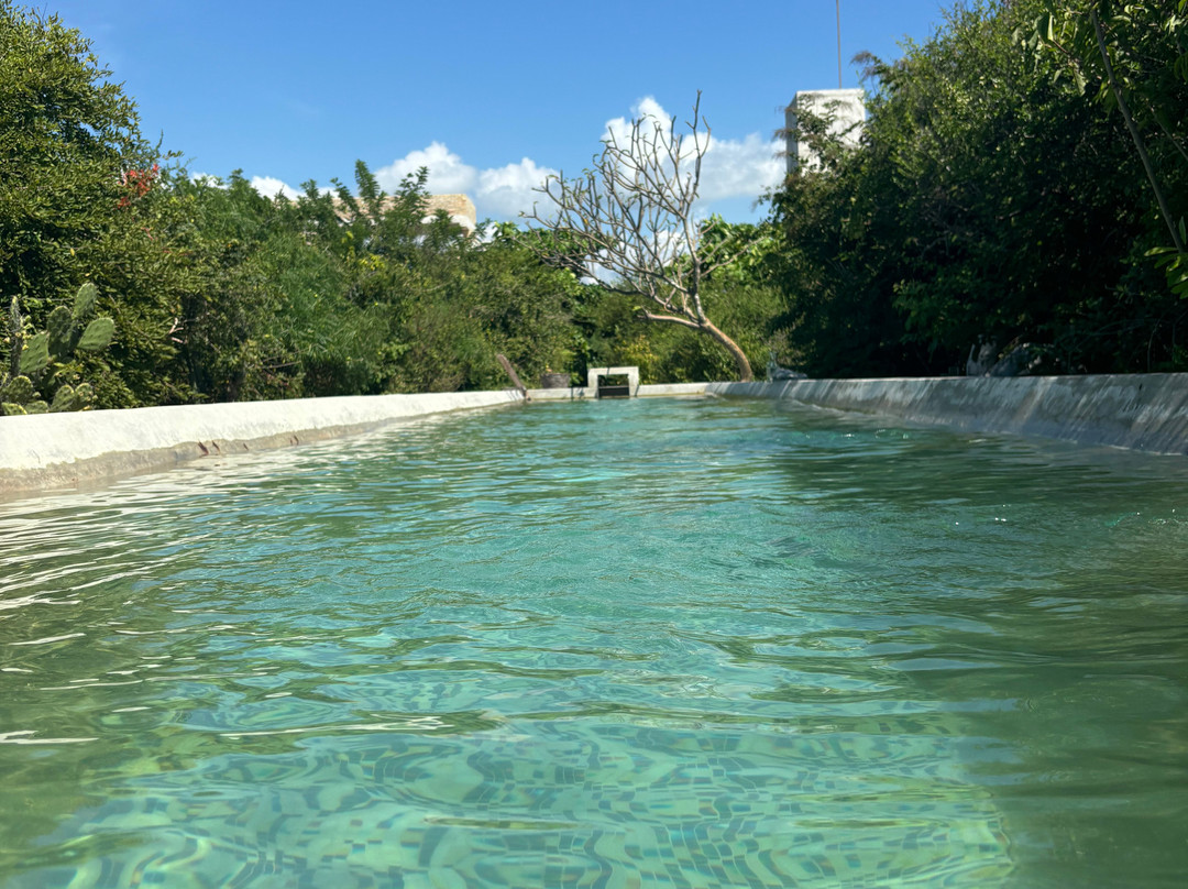 Terrestre Hotel主图