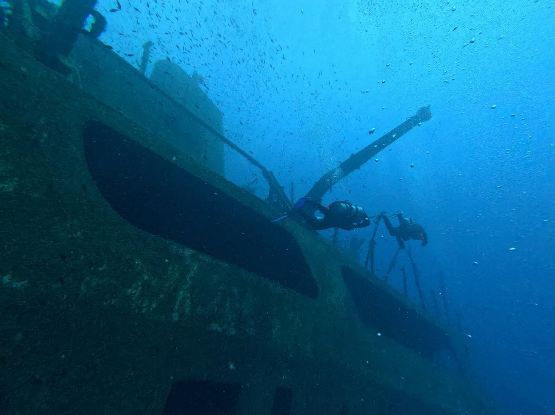 Orangeshark Diving Centre-梅雷赫必去景点