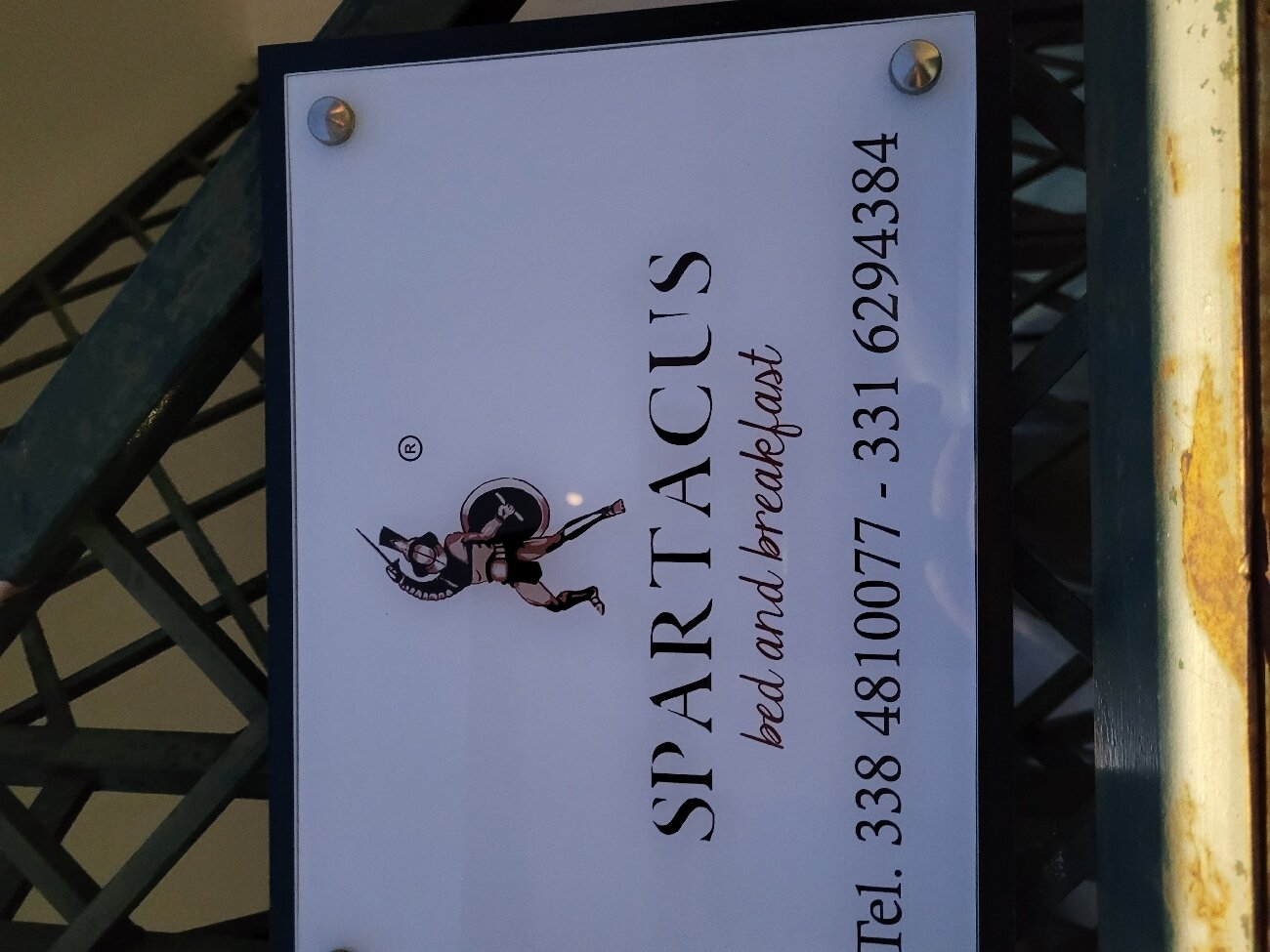 B&B Spartacus-官方