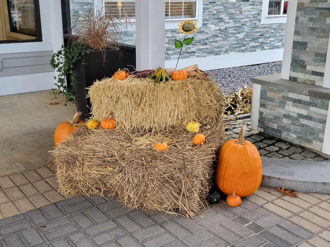 斯普林菲尔德智选假日酒店主图