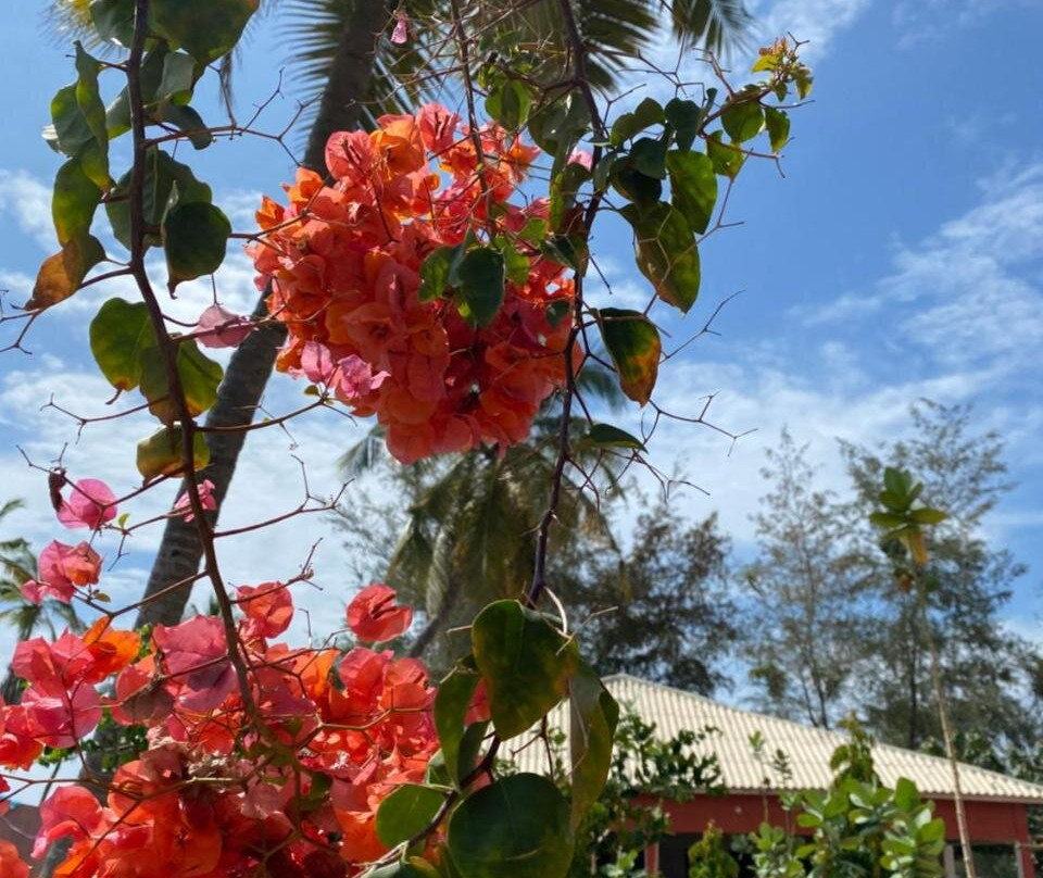 CDAC Elijah - Espace Culturel