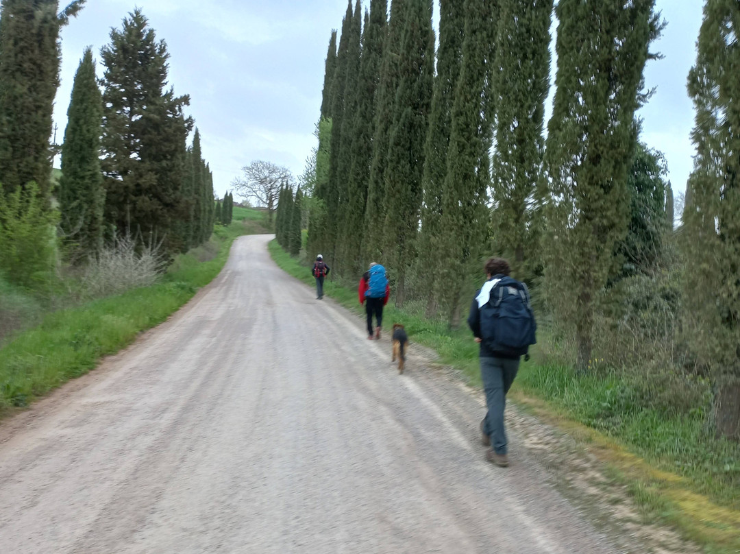 Via Francigena Tappa 35 Ponte d'Arbia - San Quirico d'Orcia景点图片