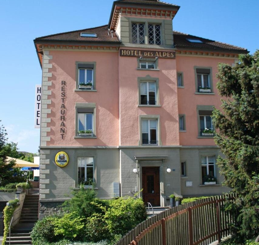 Hotel Des Alpes主图