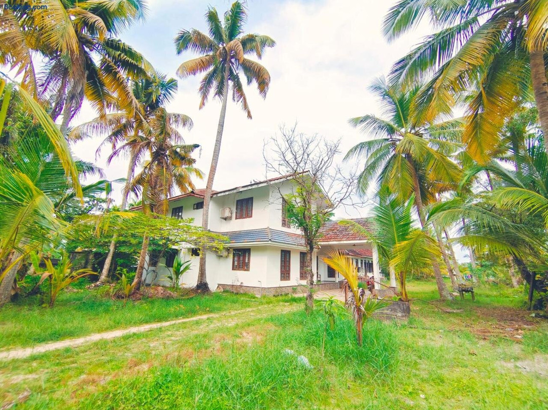 White Sands Homestay