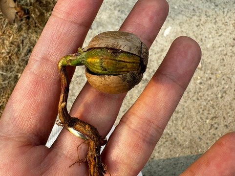 西山国家森林公园-北京市必去景点