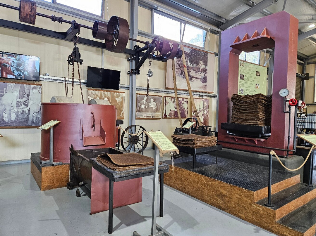 Omalia Olive Press-马利亚必去景点