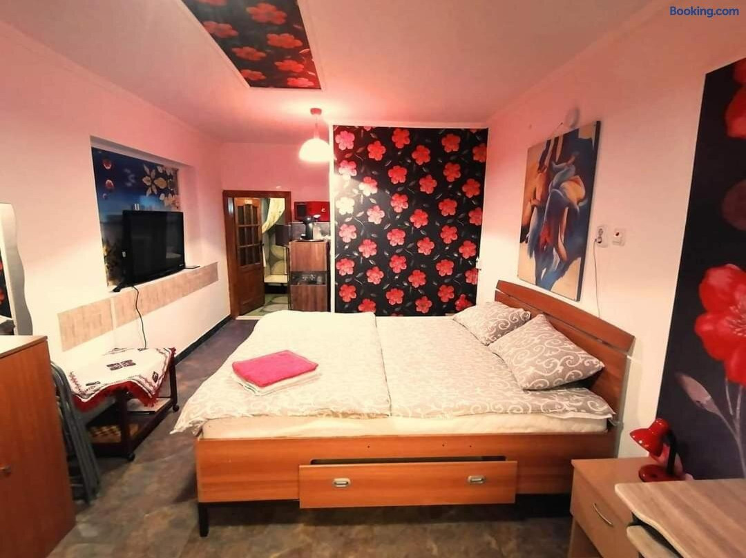 Hostel Pascalis Alesd