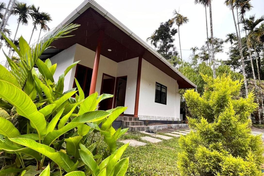 Bonfire Hostels