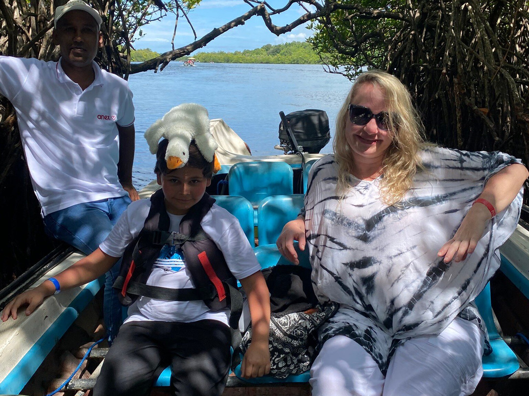 Luk Sri Lanka Travels-Pallekele必去景点