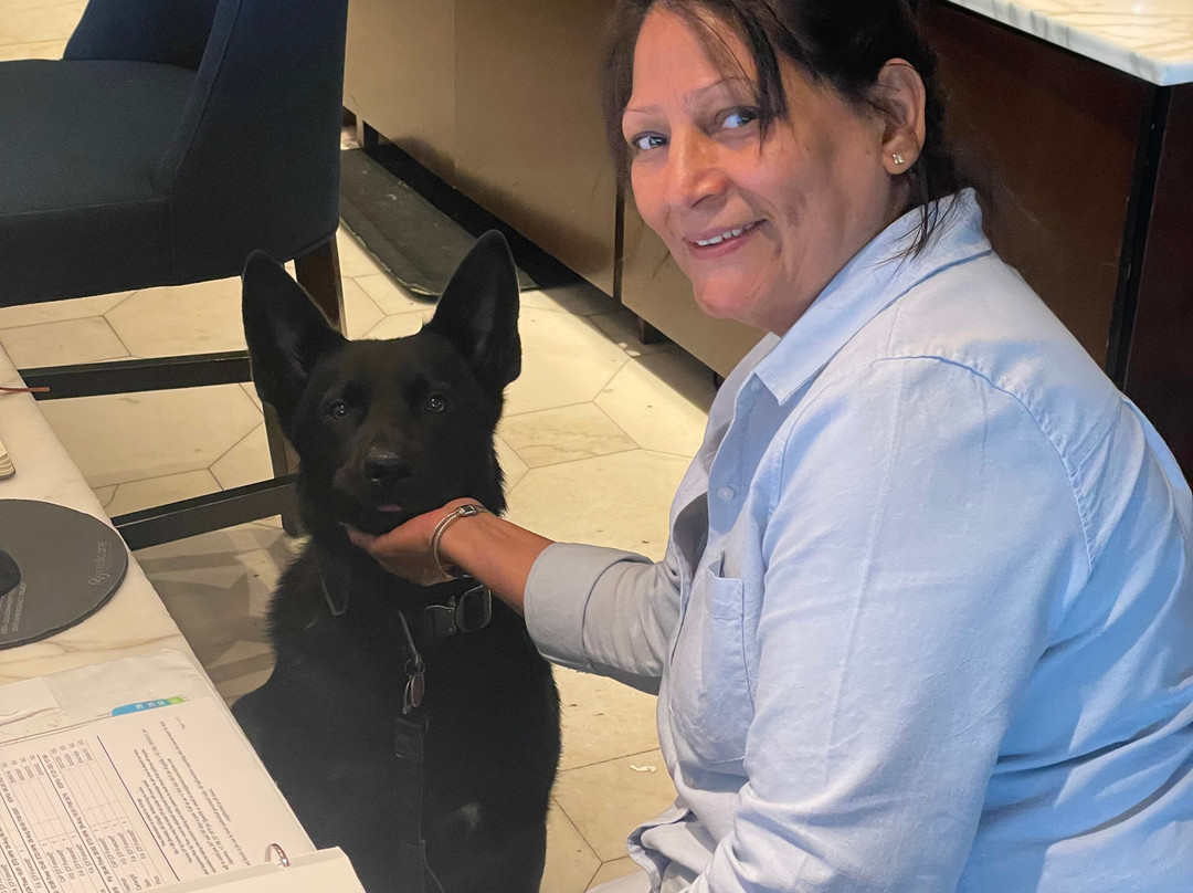 The Stamford Hotel主图