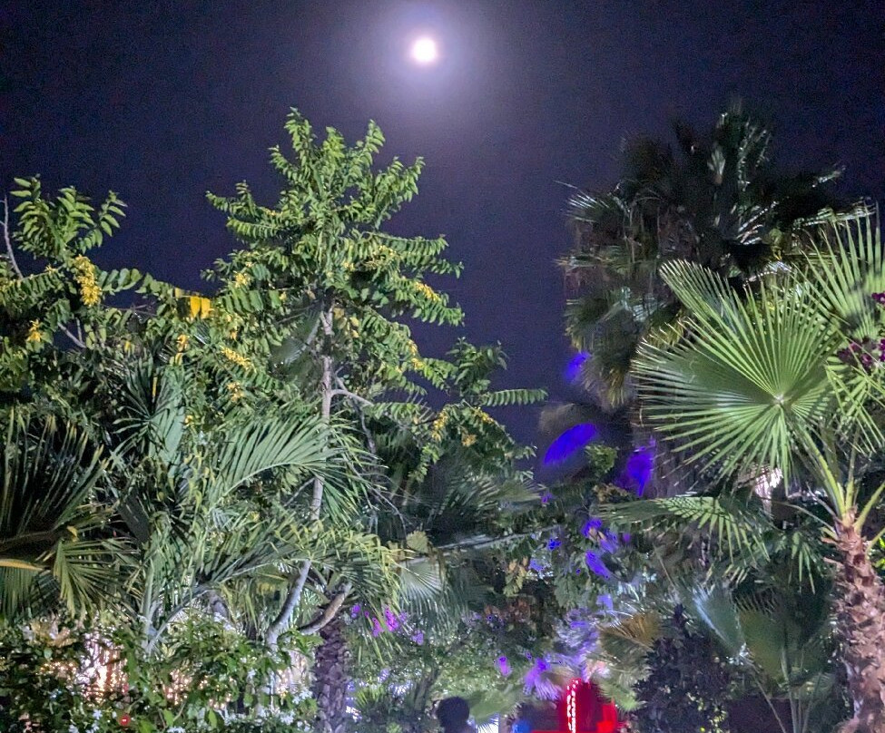 Kijiji Beach Resort主图