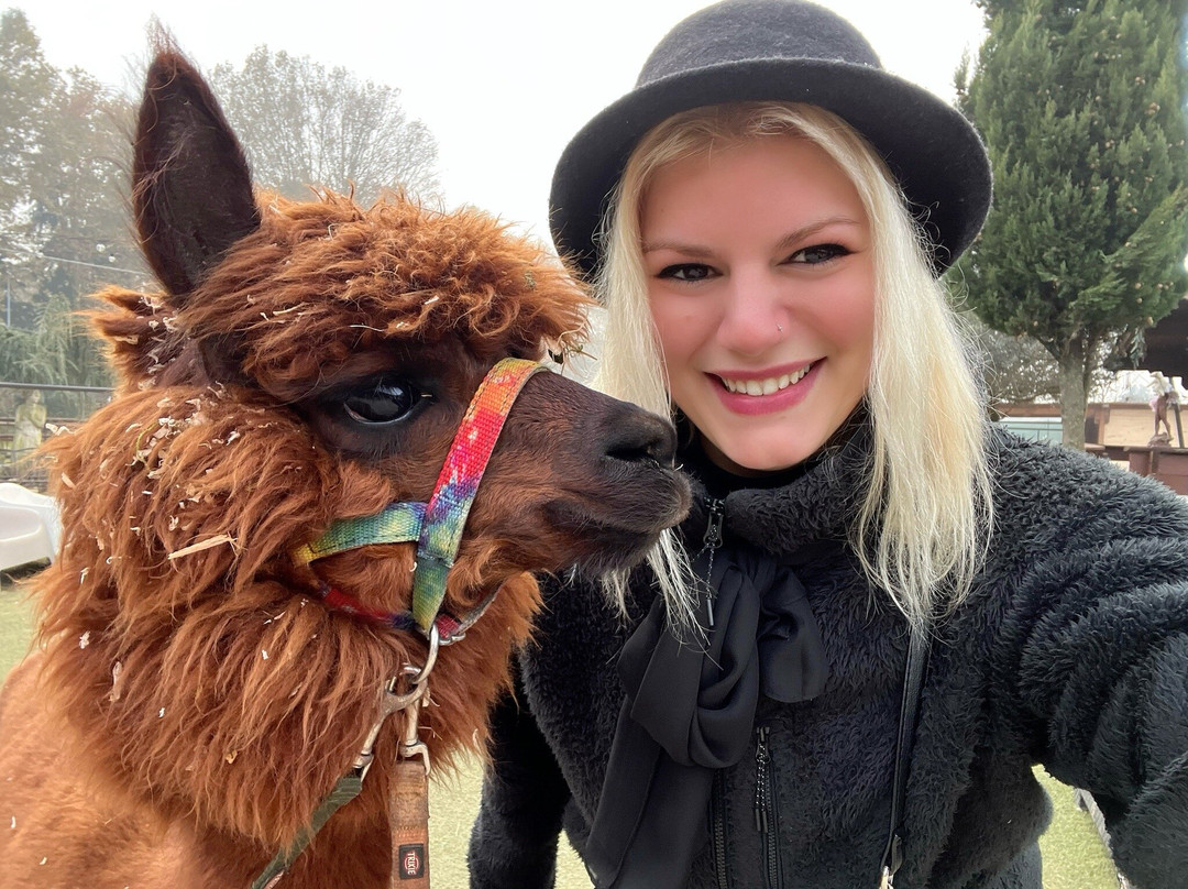 Alpacamp Il Campo Degli Angeli景点图片