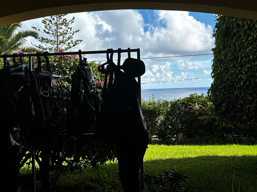 Madeira Diving Center-Canico必去景点