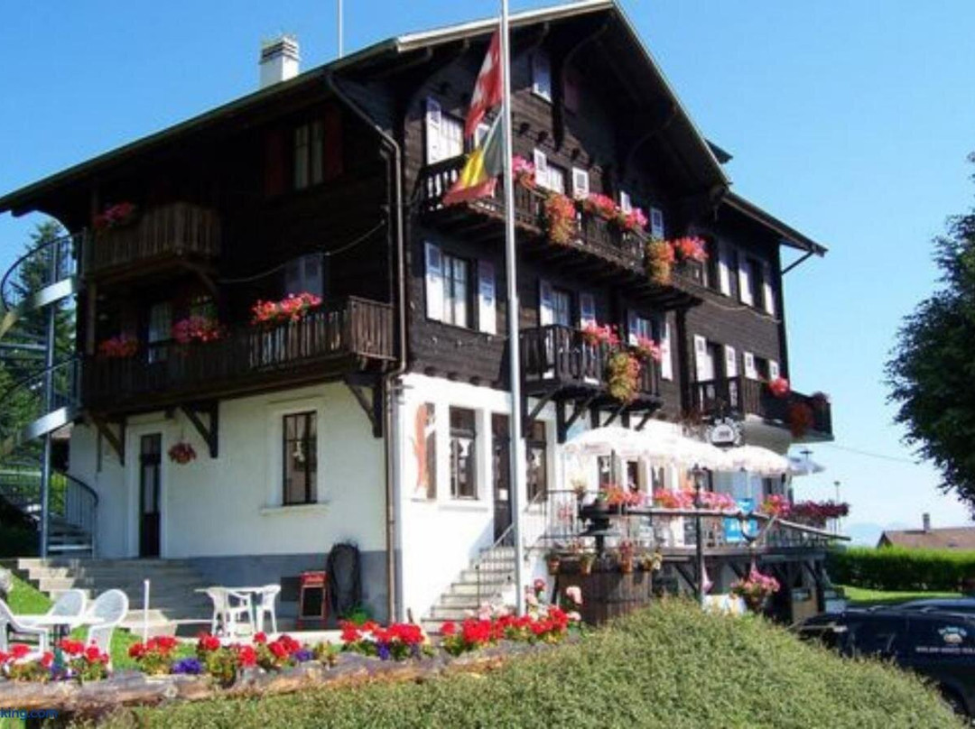 Torgon酒店住宿-Hôtel de Torgon