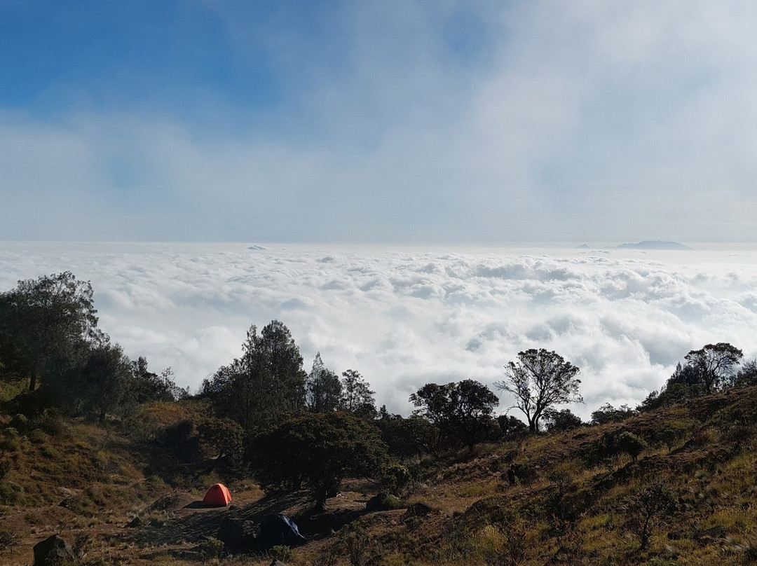 Mount Arjuno and Welirang-Prigen必去景点