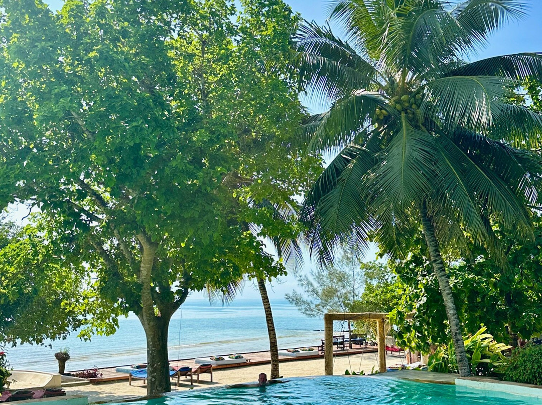 Mangrove Lodge主图