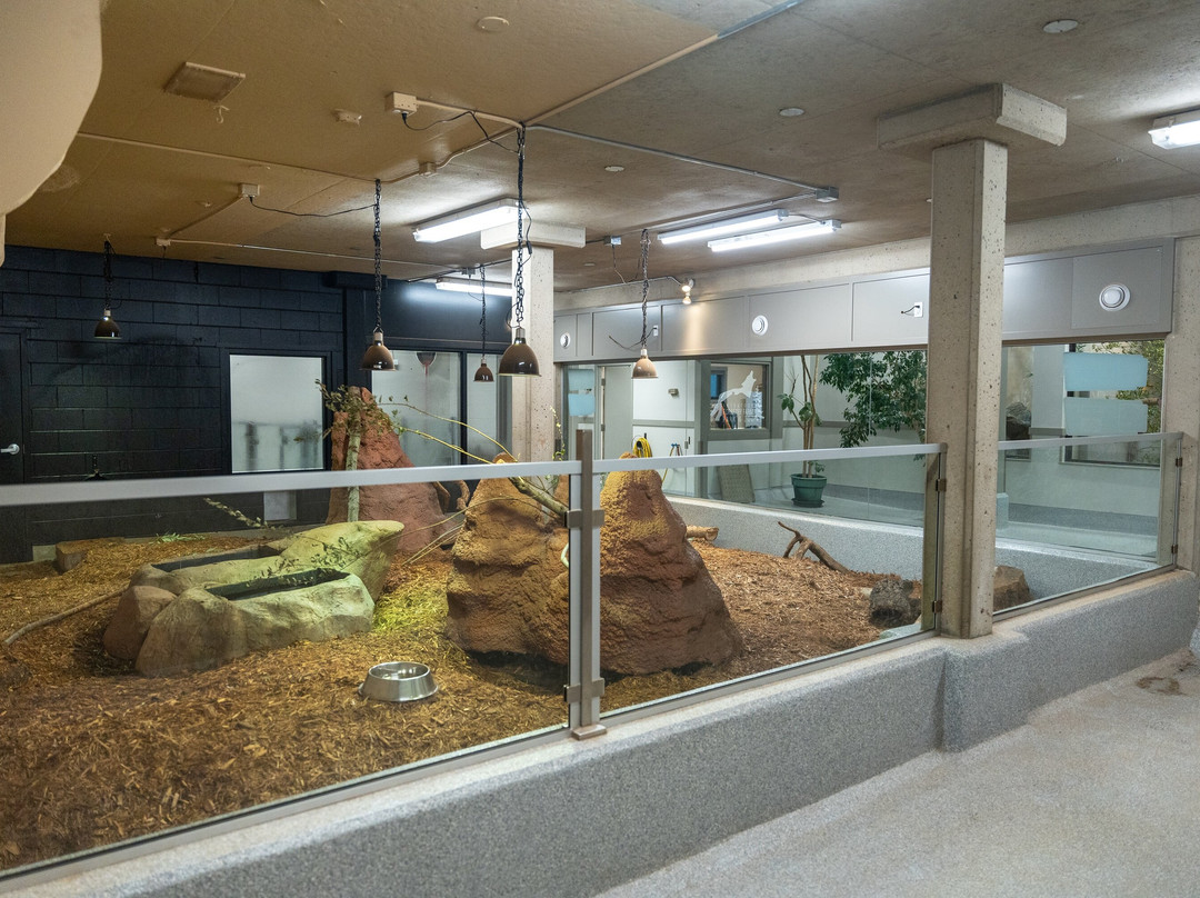 Saskatoon Forestry Farm Park & Zoo-萨斯卡通必去景点