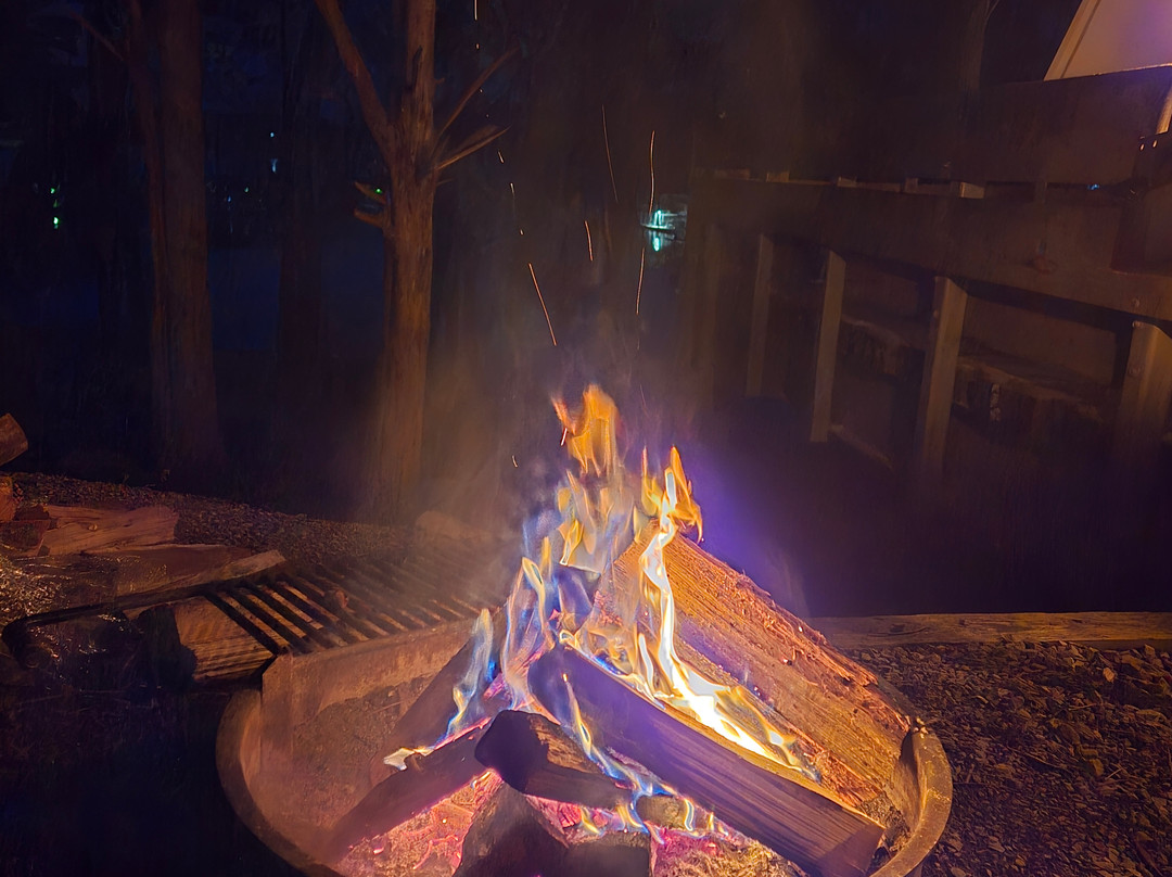 Edgar Evins State Park-Silver Point必去景点