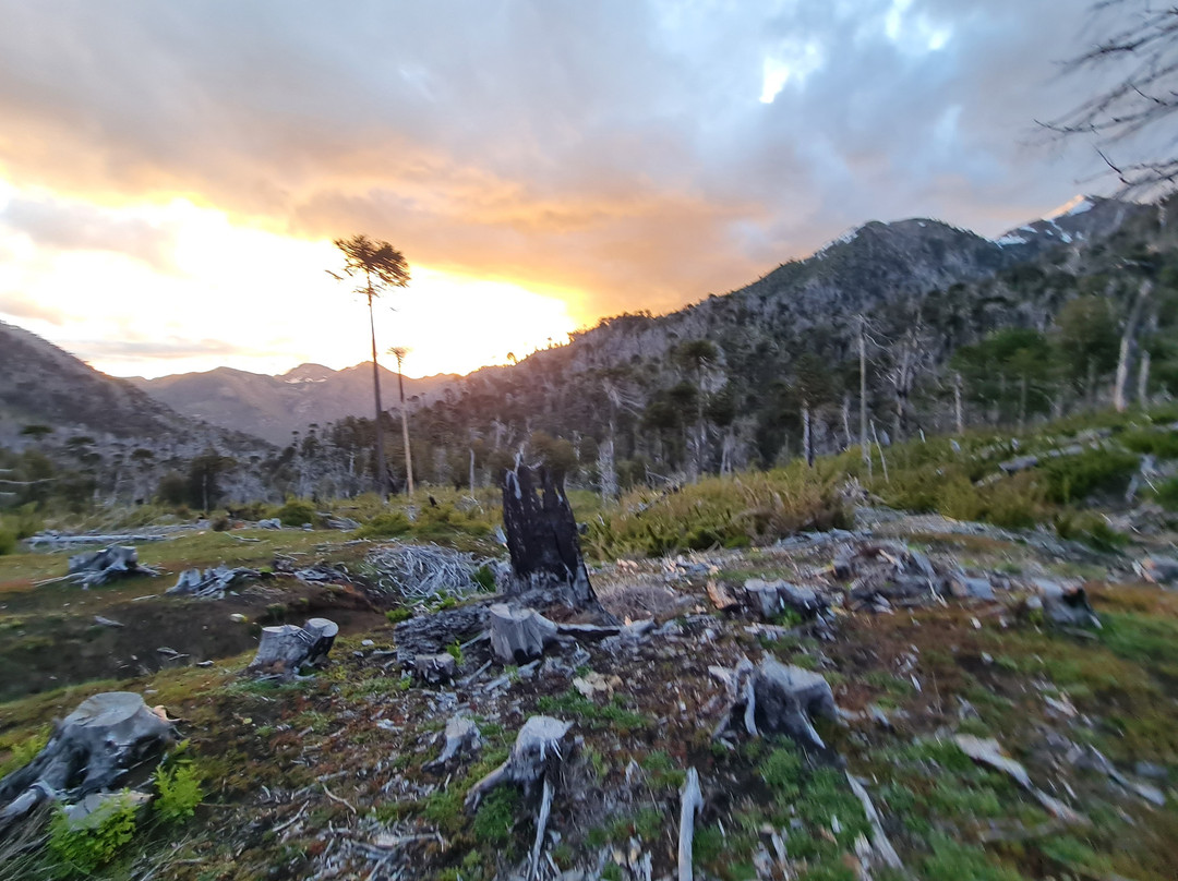 Agencia de turismo Somos Congui-Melipeuco必去景点