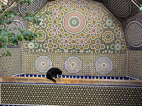 Rachid-非斯必去景点