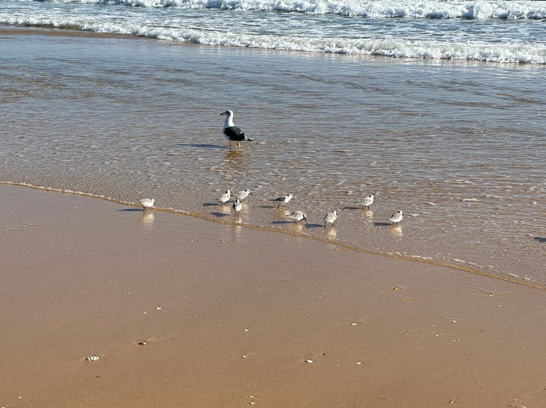 Praia da Manta Rota-Manta Rota必去景点