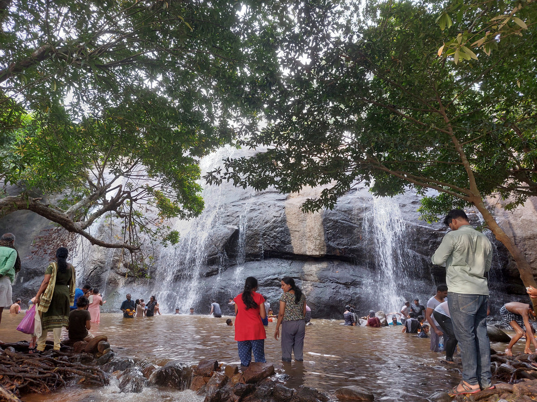 Aanachadikuth Waterfalls景点图片